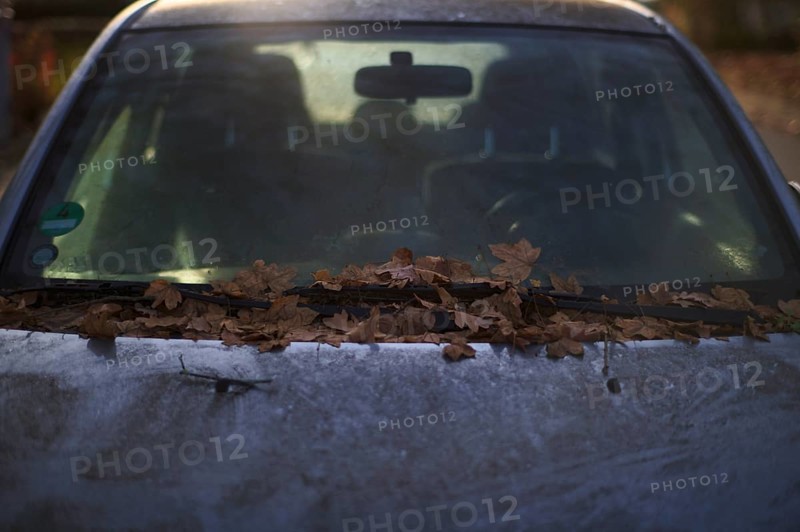 Windshield, car, vehicle, is full of leaves, autumn leaves, autumn, Stuttgart, Baden-Württemberg, Germany