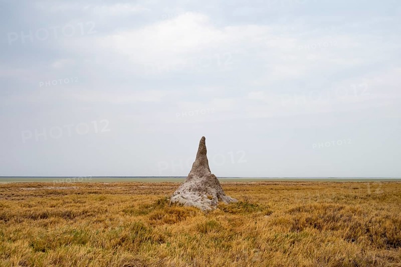 Termite hill, Etosha National Park, Namibia