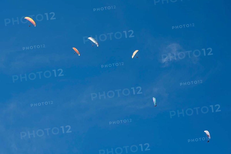 Paragliders in the sky above Brauneck, forming a diagonal, Bavarian Prealps, Isarwinkel, Lenggries, Upper Bavaria, Bavaria, Germany