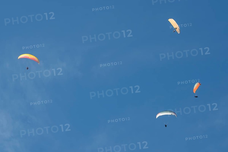 Paragliders in the sky over Brauneck, Bavarian Prealps, Isarwinkel, Lenggries, Upper Bavaria, Bavaria, Germany