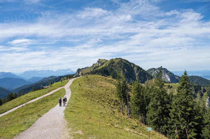 Wanderweg am Brauneck, hinten der Latschenkopf, Bavarian Prealps, Isarwinkel, Lenggries, Upper Bavaria, Bavaria, Germany
