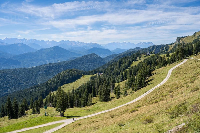 Wanderweg am Brauneck, Bavarian Prealps, Isarwinkel, Lenggries, Upper Bavaria, Bavaria, Germany
