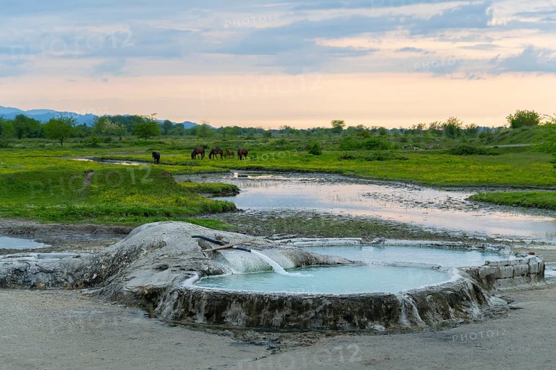 Hot spring pool in extensive nature with horses in the background under an evening sky, springs of Amaghleba, Dikhashkho sulfur geysers, hot sulfur springs of Wani, Vani, Rioni river, Imereti region, Georgia