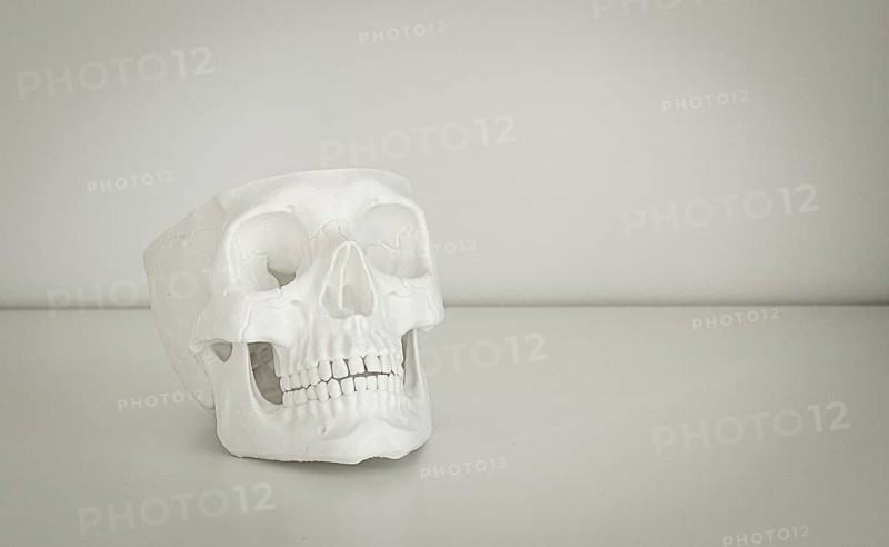 A white skull model is resting on a simple table surface in a bright, neutral room. The setting highlights the details of the skull, showcasing its structure vividly