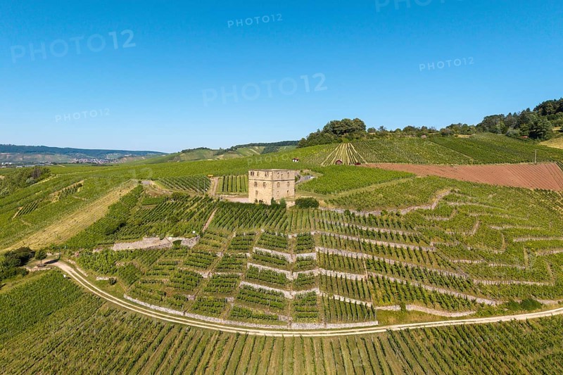 Vineyards spread around a central stone house surrounded by green nature, Y-Burg, Stetten im Remstal, Baden-Württemberg, Germany