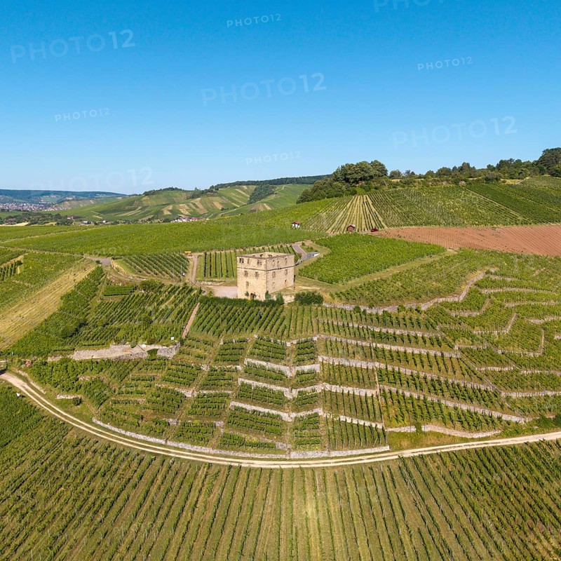 A stone house surrounded by vineyards under a clear blue sky, Y-Burg, Stetten im Remstal, Baden-Württemberg, Germany