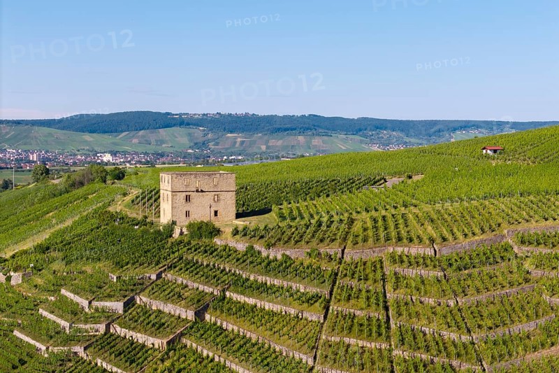 Close-up of a building surrounded by green vineyard terraces, Y-Burg, Stetten im Remstal, Baden-Württemberg, Germany