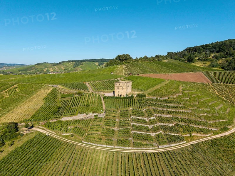 Green terraced vineyards with an old building in the center, Y-Burg, Stetten im Remstal, Baden-Württemberg, Germany