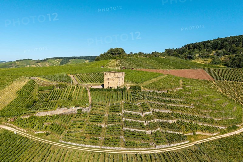 A stone house surrounded by sunny vineyards and green hills, Y-Burg, Stetten im Remstal, Baden-Württemberg, Germany