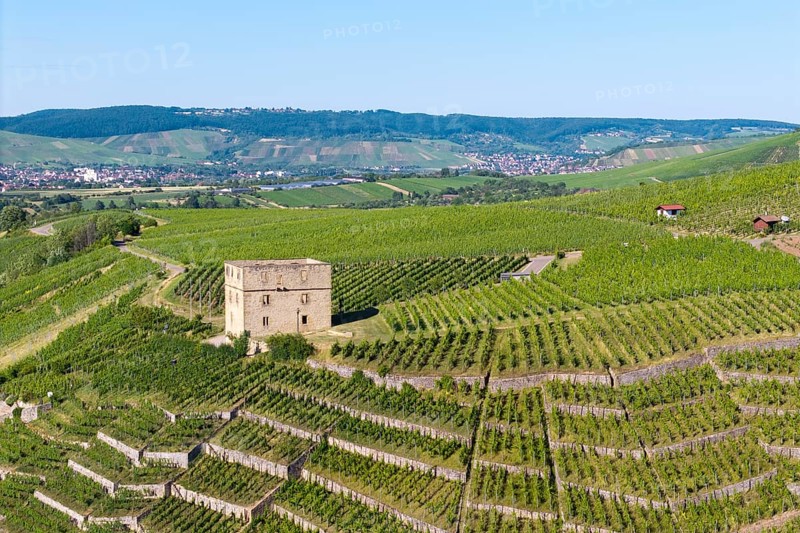 The stone house is surrounded by extensive vineyards in hilly surroundings, Y-Burg, Stetten im Remstal, Baden-Württemberg, Germany