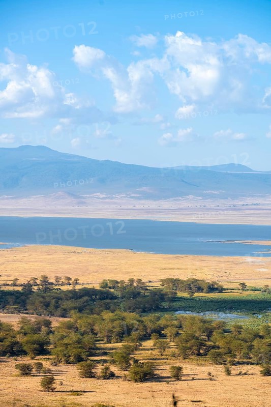 View of savanna landscape and lakes in the Ngorongoro Crater from the crater rim in the evening light, Ngorongoro Conservation Area, Tanzania
