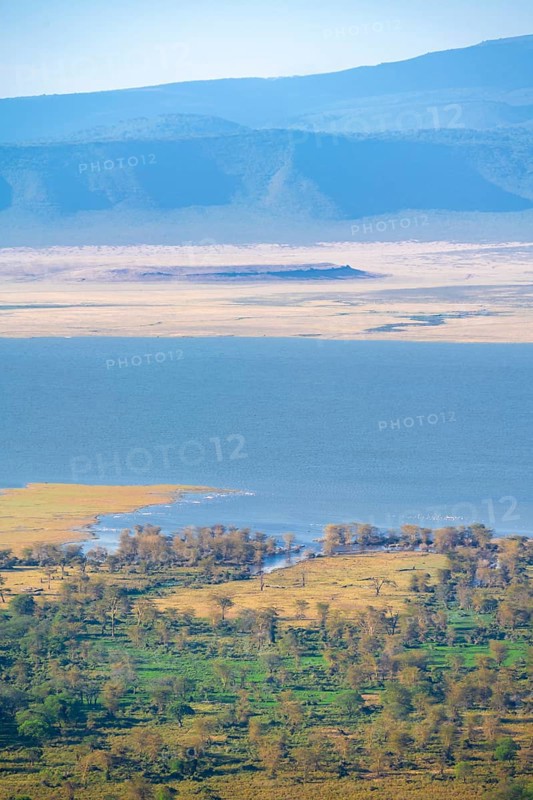 View of savanna landscape and Magadi Lake in the Ngorongoro Crater in the evening light, Ngorongoro Conservation Area, Tanzania