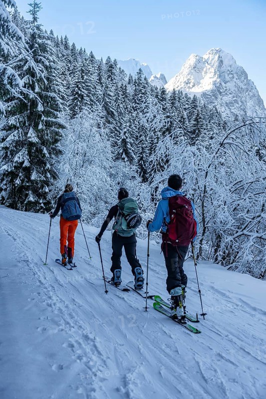 Ski tourers climbing to Längenfelderkopf, view of snow-covered forest and Waxenstein summit, in winter, Wetterstein Mountains, Garmisch-Partenkirchen, Bavaria, Germany