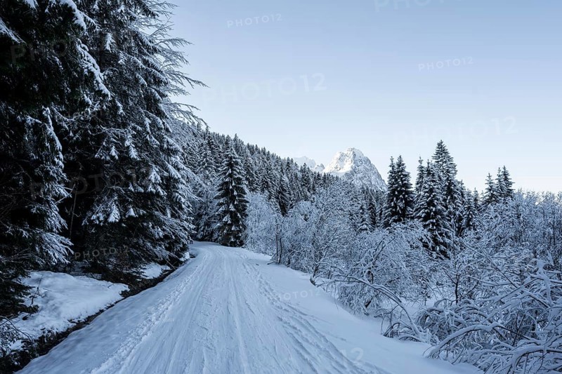 View of hiking trail in snowy forest and Waxenstein summit, in winter, Wetterstein Mountains, Garmisch-Partenkirchen, Bavaria, Germany