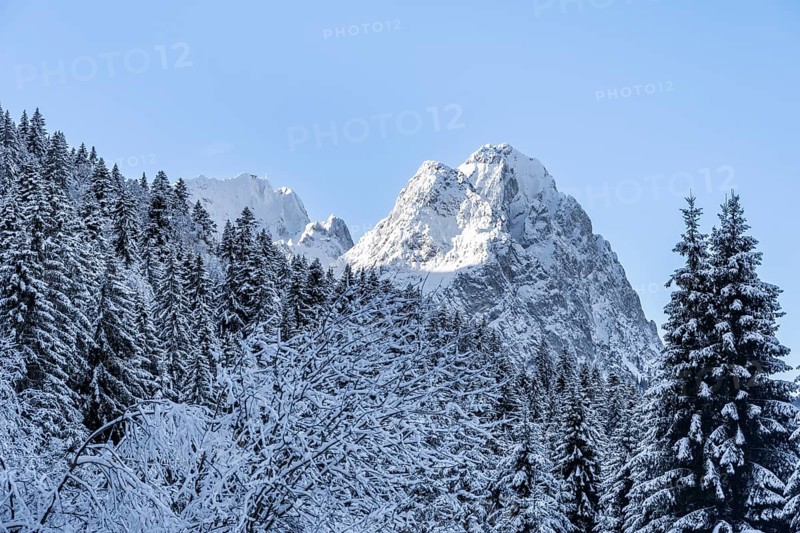 View of snowy forest and Waxenstein summit, in winter, Wetterstein Mountains, Garmisch-Partenkirchen, Bavaria, Germany