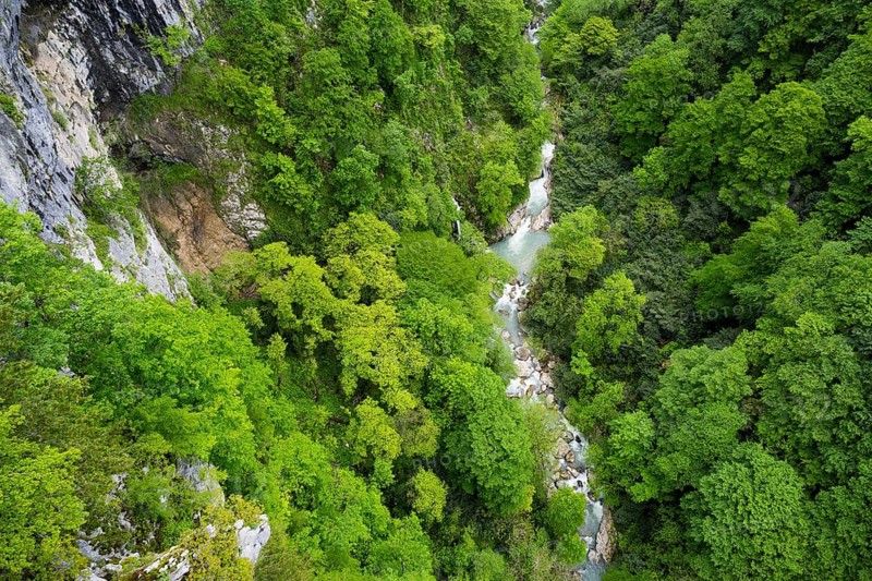 Small river flows through a lush green forest valley, Okatse River in Okatse Gorge, Canyon, Imereti Region, Imereti, Georgia