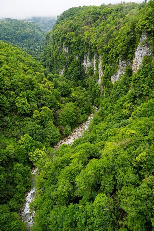 River flows through a green, wooded gorge, Okatse River in Okatse Gorge, Canyon, Imereti Region, Imereti, Georgia