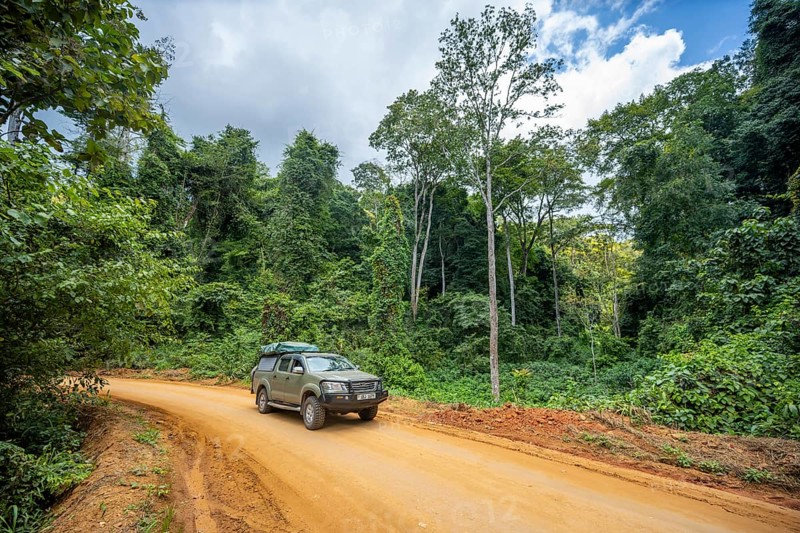 Toyota Hilux SUV drives on a dirt road through dense vegetation in tropical rainforest, Amani Nature Forest Reserve, Tanga, Tanzania