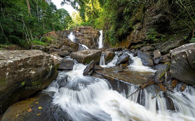 Derema Waterfall flows through thick vegetation, tropical rainforest in Amani Nature Forest Reserve, long exposure, Eastern Usambara Mountains, Tanga, Tanzania