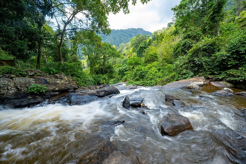 Waterfall flows through thick vegetation, tropical rainforest in Amani Nature Forest Reserve, long exposure, Eastern Usambara Mountains, Tanga, Tanzania