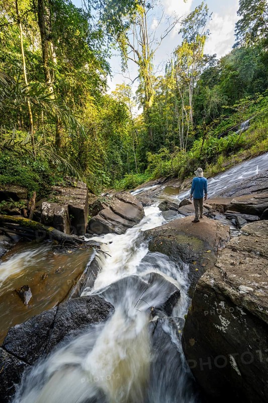 Tourist at Derema Waterfall, flowing through thick vegetation, tropical rainforest in Amani Nature Forest Reserve, long exposure, Eastern Usambara Mountains, Tanga, Tanzania