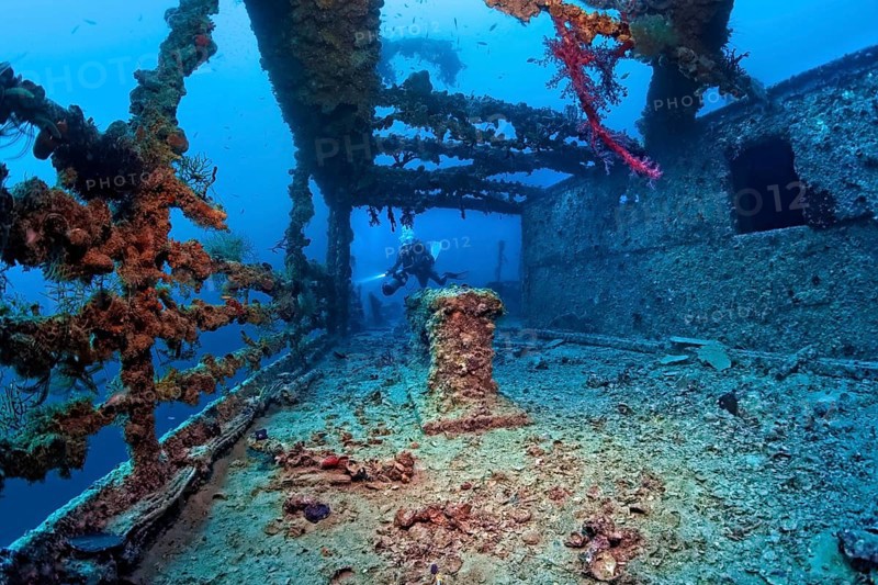 Diver explores Rosalie Moller wreck, shipwreck, British, sunk in World War II on 08.10, 1941 by two German bombers Heinkel He 111, northeast of El Gouna, Red Sea, Egypt