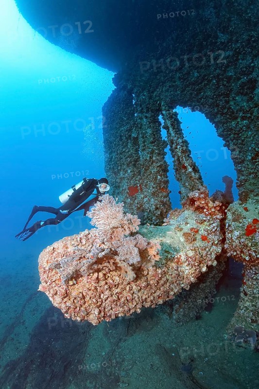 Diver, diver looking at large propeller, huge, propeller, crusted, overgrown, vegetation, rudder, wreck, shipwreck, SS Turkia, British, steamship, sunk 17.05.1941, Second World War, Red Sea, Gulf of Suez, Egypt