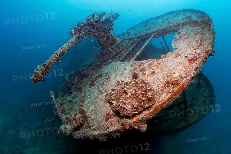 Stern with gun platform and 40mm gun, British, shipwreck, wreck, steamship, SS Thistlegorm, ammunition freighter, launching 09.04.1940 in Sunderland, Scotland, sunk Second World War, 06.10.1941 by German Heinkel He-111 on Shaab Ali, Sinai Peninsula, Egypt, Red Sea