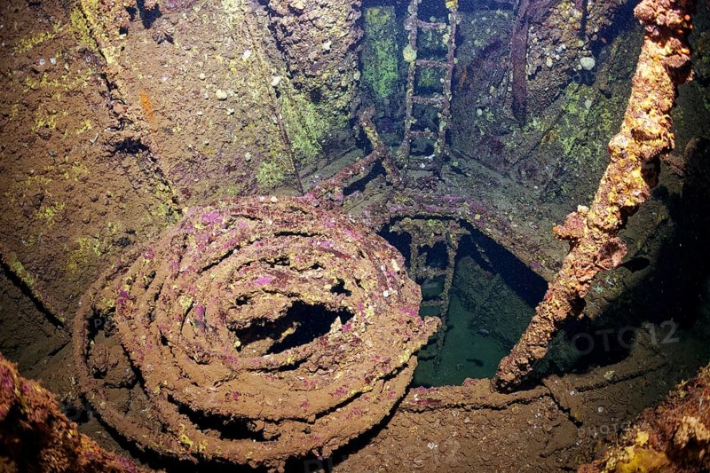 Stairway, ladder, cable, below deck SS Turkia, British, steamship, sunk 17.05.1941, Second World War Red Sea, Gulf of Suez, Egypt