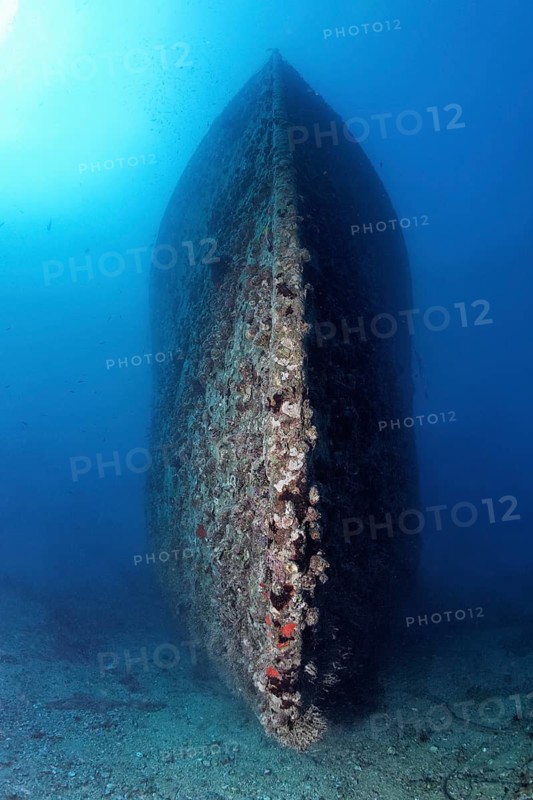 Hull, bow SS Turkia, wreck, shipwreck, British, steamship, sunk 17.05.1941, Second World War, from the front, frontal, overgrown, overgrown, crusted, Red Sea, Gulf of Suez, Egypt