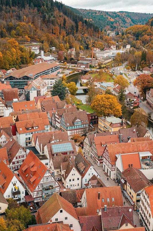 Overview of urban roofs and river in autumn surroundings with half-timbered houses, Calw, Black Forest, Germany