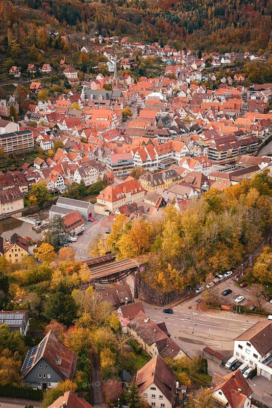 Panoramic view of a historic town with red-brick roofs and autumnal forest in the background, Calw, Black Forest, Germany