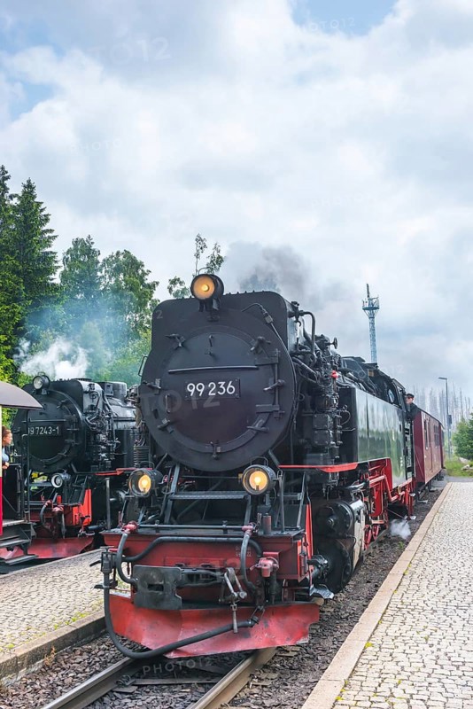 Steaming railway locomotives, two steam locomotives, steam locomotive, front, rails, platform, steam clouds, smoke, clouds of smoke, Harz narrow-gauge railways, narrow-gauge railway in Schierke station against forest backdrop and radio tower, in the background forest, low mountains, nature reserve, historic Brocken Railway from Drei Annen Hohne to Brocken, Harz National Park, Ostharz, Harz, Wernigerode, Harz district, Saxony-Anhalt, Germany