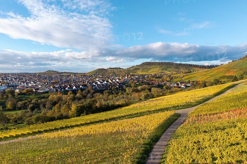 Vineyards with a path leading to a village surrounded by hills and clouds, autumn, Korb-Steinreinach im Remstal, Baden-Württemberg, Germany
