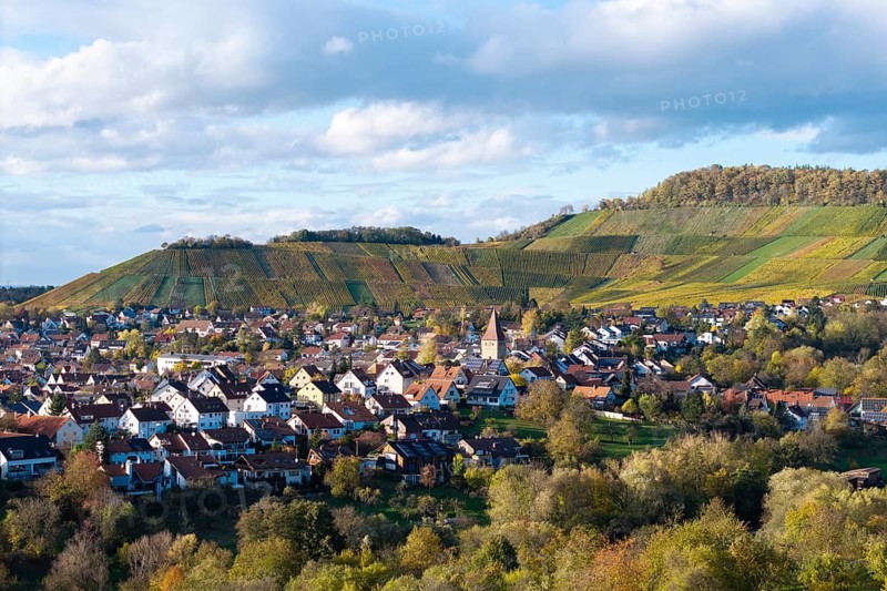 Village view with a church surrounded by vineyards and forests under a cloudy sky, autumn, Korb-Steinreinach im Remstal, Baden-Württemberg, Germany