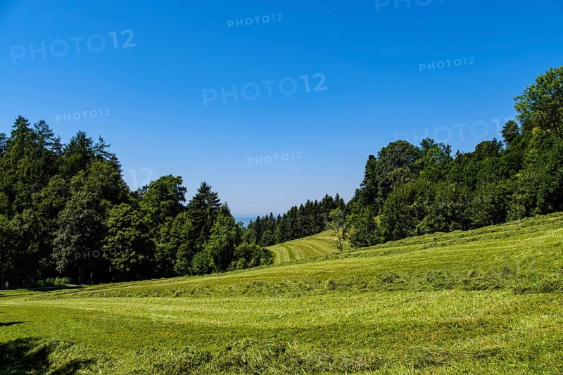 Picturesque alpine meadow landscape on Pfänder near Fluh, Bregenz, Vorarlberg, Austria