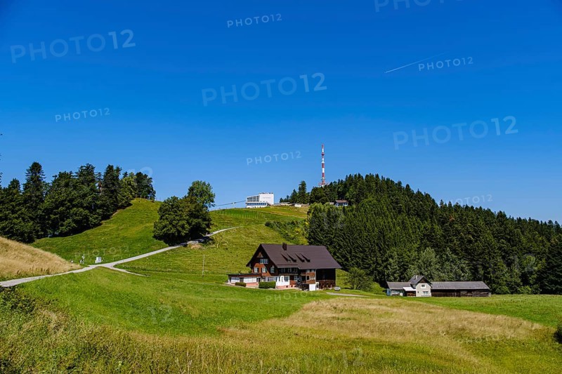 Picturesque alpine meadow landscape on the Pfänder with a view of the Pfänderbahn mountain station and the Pfänderspitze, Lochau, Bregenz, Vorarlberg, Austria