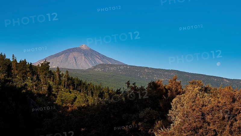 Teide, Orotava Valley, volcano in the background, surrounded by thick forests and a visible moon in the sky, UNESCO World Heritage Site, Teide National Park, Teide National Park, Tenerife, Canary Islands, Spain