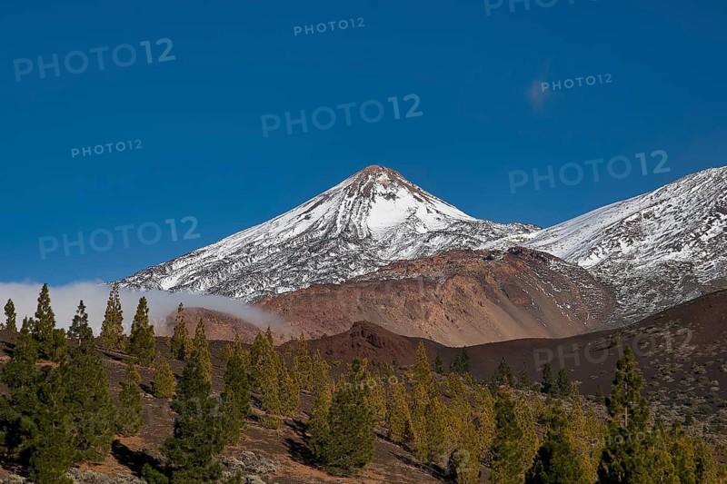 Snow-capped Teide volcano with surrounding forest and blue sky, UNESCO World Heritage Site, Teide National Park, Tenerife, Canary Islands, Spain