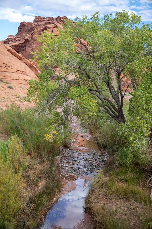 Hite, Utah - Hog Spring Recreation Area. The area has picnic areas and a hiking trail in Red Rock Canyon