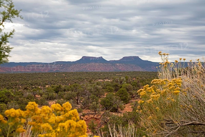 Bears Ears National Monument, Utah - The two buttes that give the National Monument its name are seen in the distance