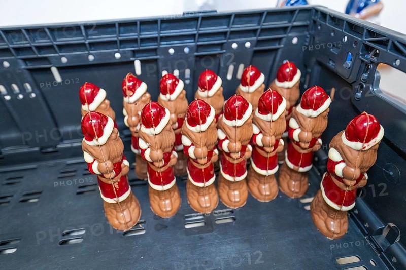 Several red and white chocolate Santa Claus figures on a plastic pallet, Christmas baking, Haselstaller Hof, Wildberg, Germany