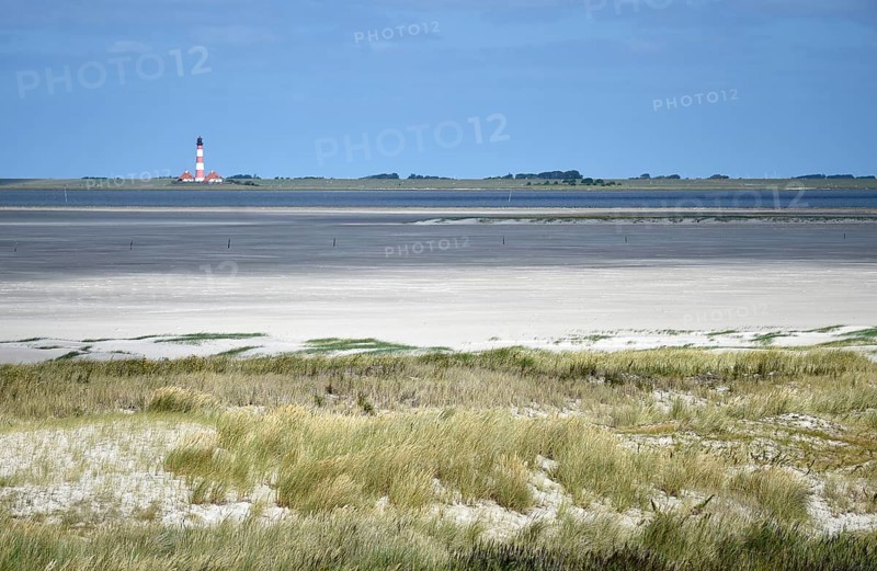 Dune landscape near Sankt Peter-Ording, Westerhever lighthouse, North Sea, Schleswig-Holstein, Germany