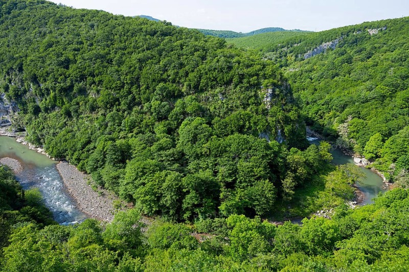 Lush green forest landscape by a river surrounded by hills, view of the Zkalzitela River from Motsameta Monastery, Tskaltsitela, near Kutaisi, Imereti Region, Georgia