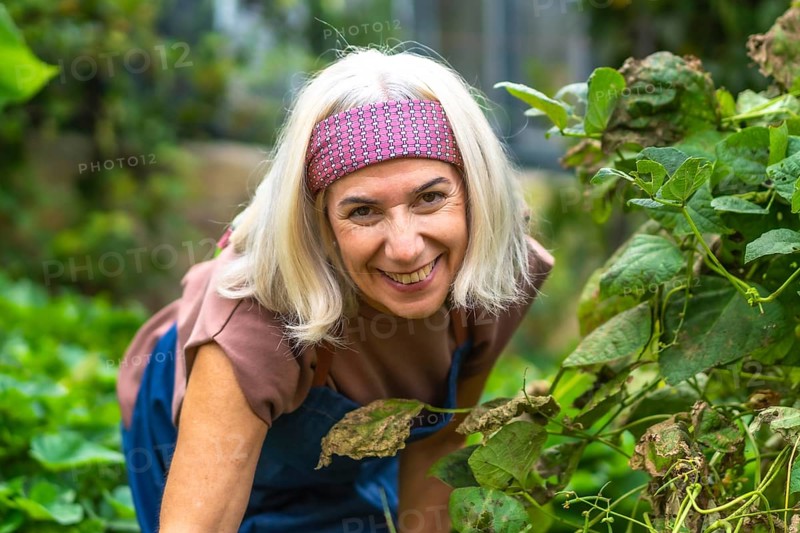 Mature blonde woman with headband smiling cheerfully while gardening in her backyard, tending plants and enjoying outdoor hobby, healthy active lifestyle and connection to nature