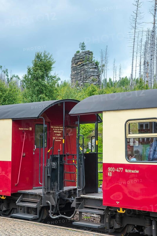 Detail, close-up of the Harz narrow-gauge railways, outdoor area, platform of red and white railway wagons, passenger train at Schierke station against forest backdrop, narrow-gauge railway, rocks, dead wood of common spruce (Picea abies), also common spruce, red spruce, redfir, forest rejuvenation, forest, low mountain range, nature reserve, forest conversion, spruce dying, brocken railway of three Annen Hohne zum Brocken, Harz National Park, Ostharz, Harz, Wernigerode, Harz District, Saxony-Anhalt, Germany
