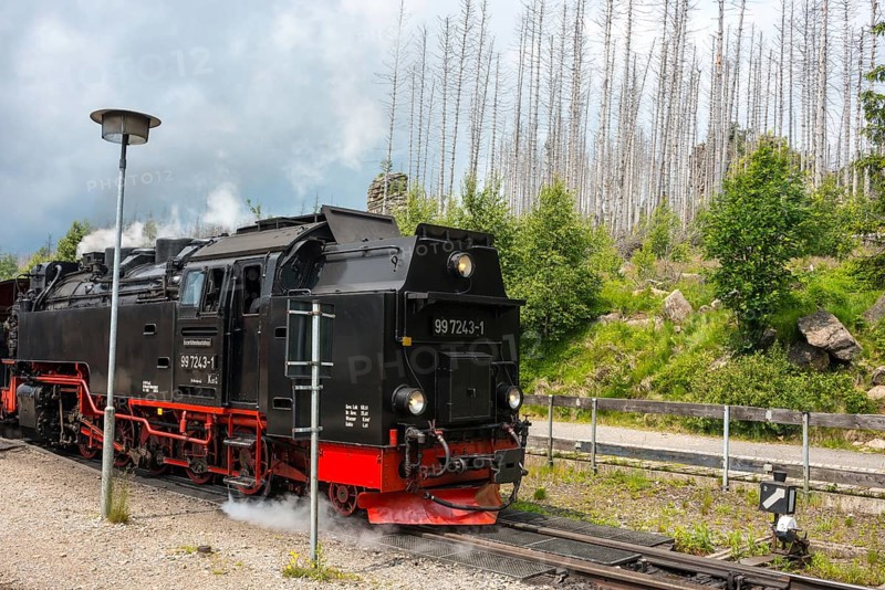 Close-up of a steam locomotive, rails, front of a steaming railway locomotive, steam locomotive, detail, steam cloud, Harzer narrow-gauge railways, narrow-gauge railway at Schierke station against forest backdrop, dead wood from the common spruce (Picea abies), also common spruce, forest rejuvenation, renewable trees, forest, low mountain range, spruce dying, brocken railway by Drei Annen Hohne zum Brocken, Harz National Park, Ostharz, Harz, Wernigerode, Harz District, Saxony-Anhalt, Germany