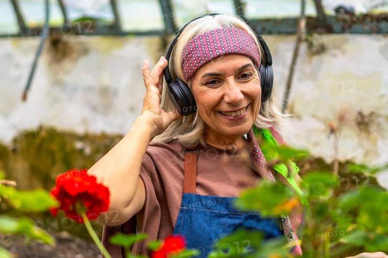Senior woman wearing headphones and an apron, smiling happily while listening to music and working among plants in a sunny greenhouse, finding joy in her hobby