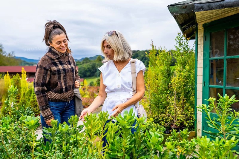 Two women, a mother and daughter, enjoying a shared activity outdoors, carefully selecting plants for their garden from a wide variety available at a plant nursery