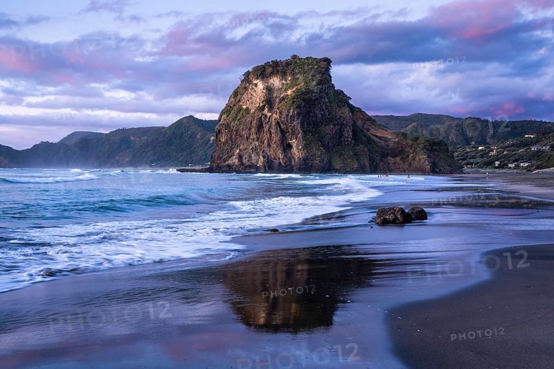 Landscape in New Zealand with sea and sandy beach. Piha Beach and Lion Rock. Surfers in water. In the evening after sunset. Piha, Waitakere Ranges, West Auckland, New Zealand